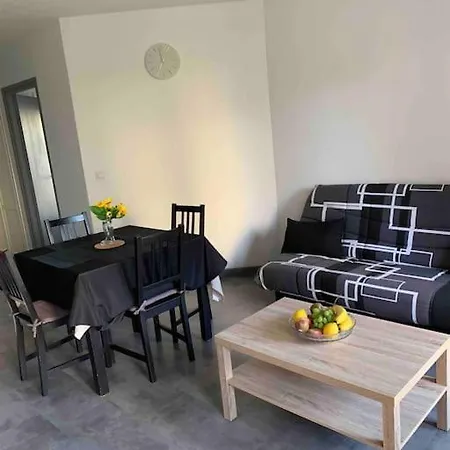 Cosy Confort Park Clim Wifi Linge Inclus Piscine Payante L'ete アパート *