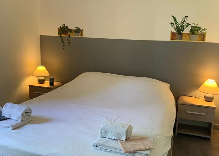 Cosy Confort Park Clim Wifi Linge Inclus Complexe Non Inclus L'été Canet-en-Roussillon
